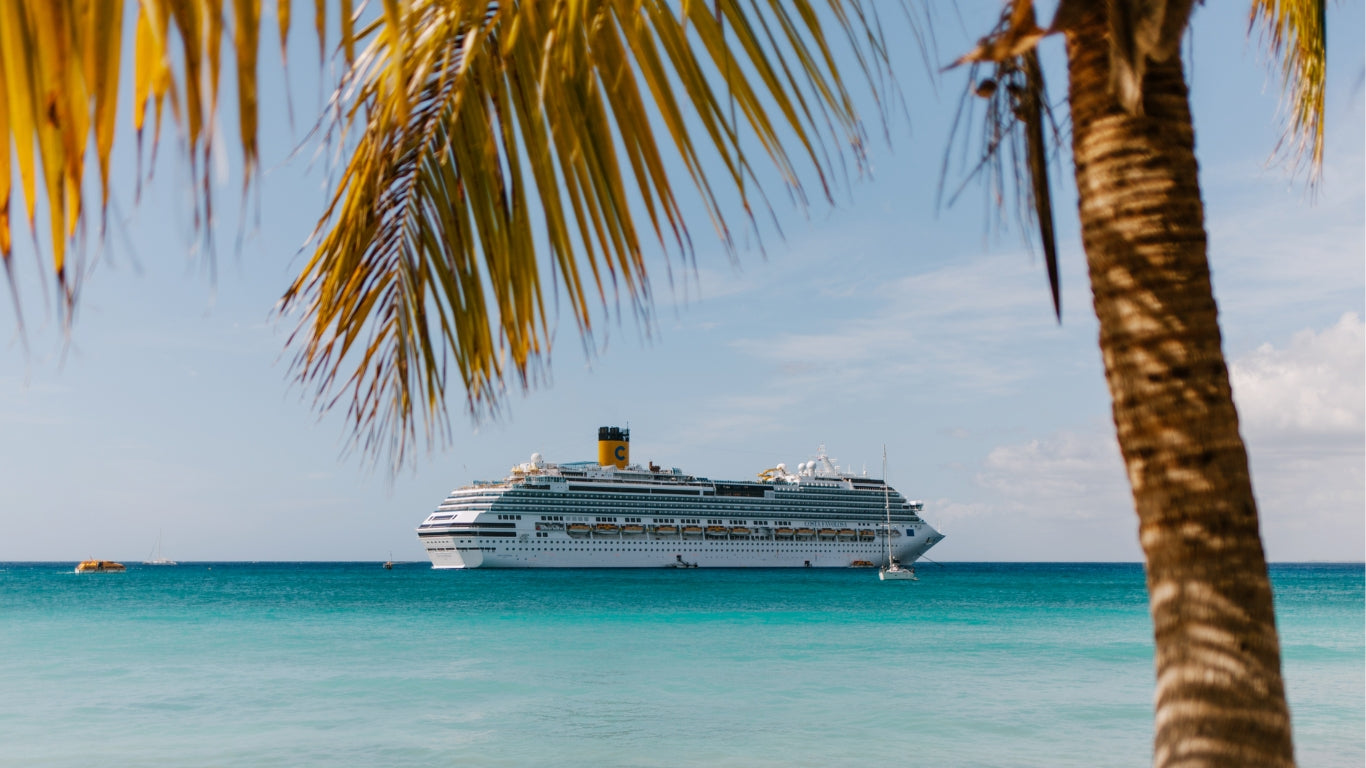 Bespoke Cruise Ship Transfers